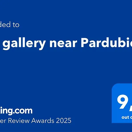 Art Gallery Near Pardubice Vakantiehuis *